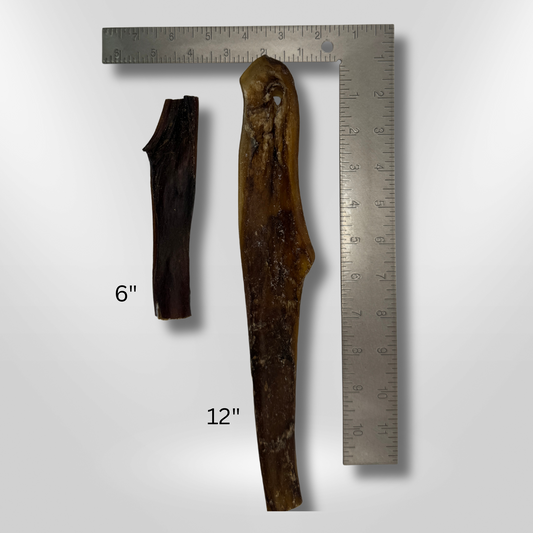 Camel Skin Wholesale Pack