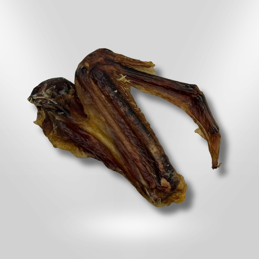 Duck Wing Wholesale Pack