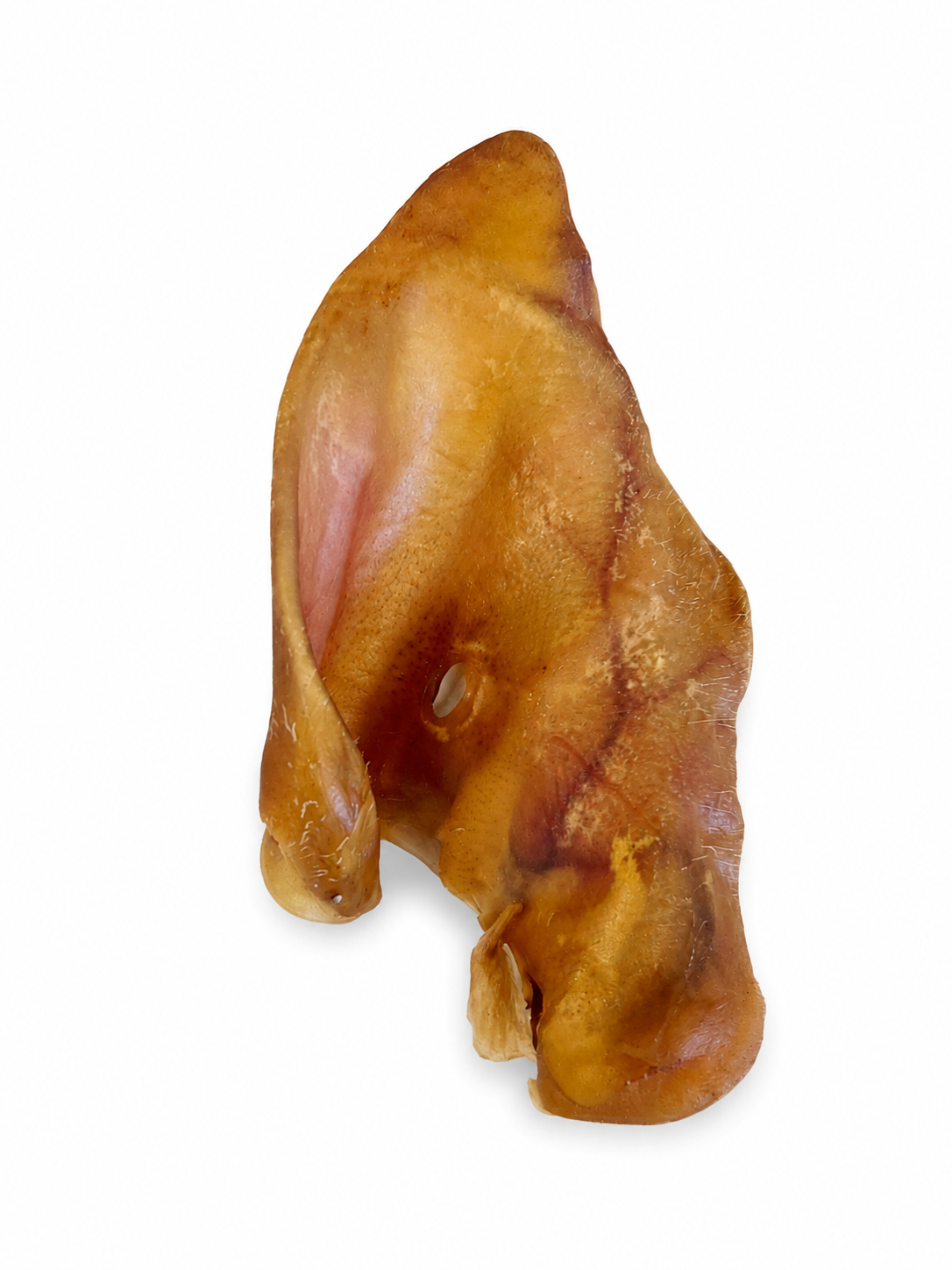 Hairless Pig ear