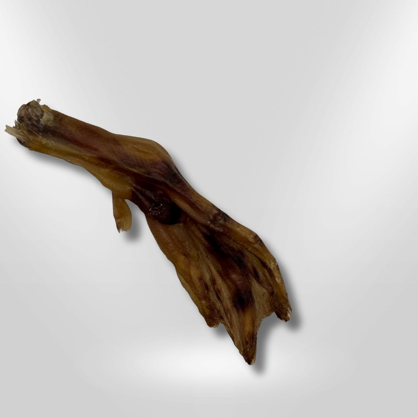 Duck Feet