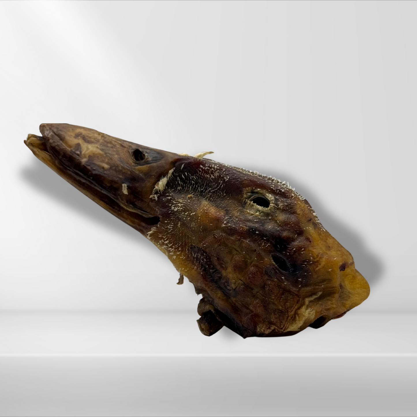 Duck Heads